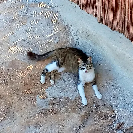 Casa de hóspedes Eco-finca Azuay - Cave Refuge